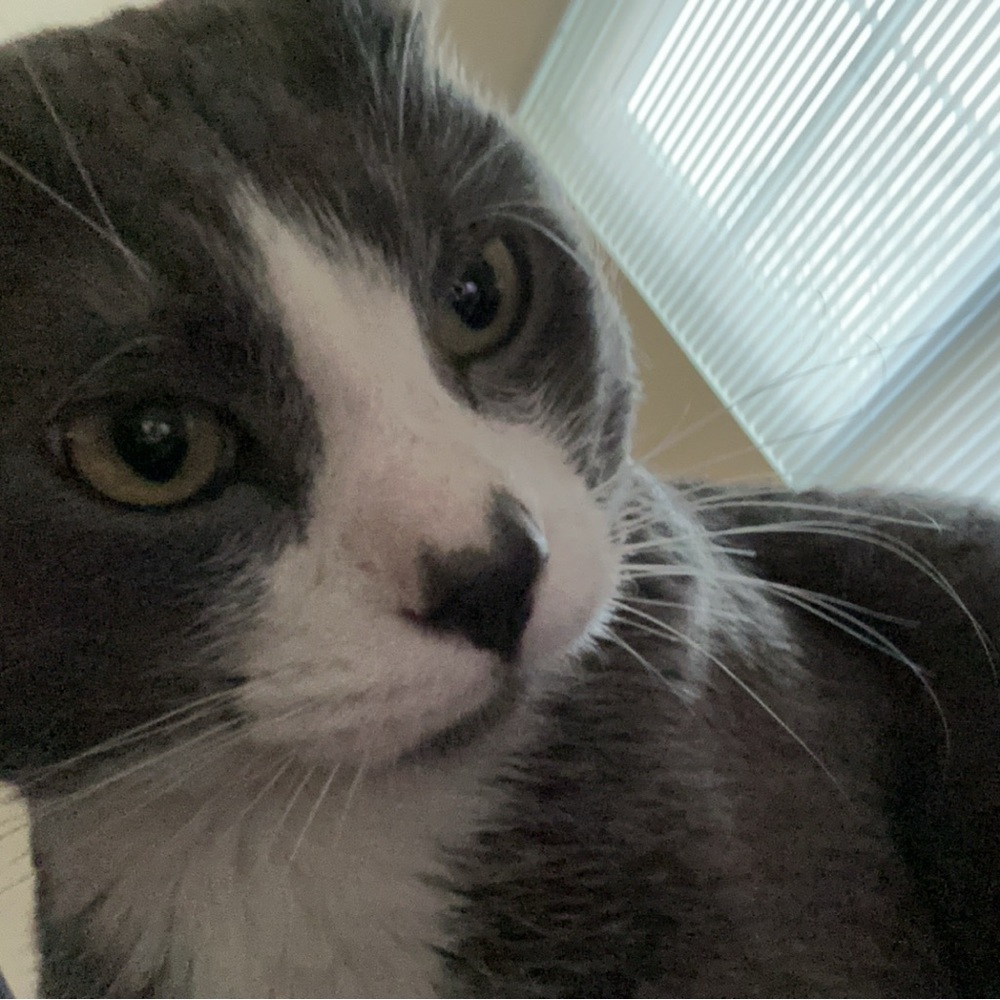 Meet your Posher, Jesse